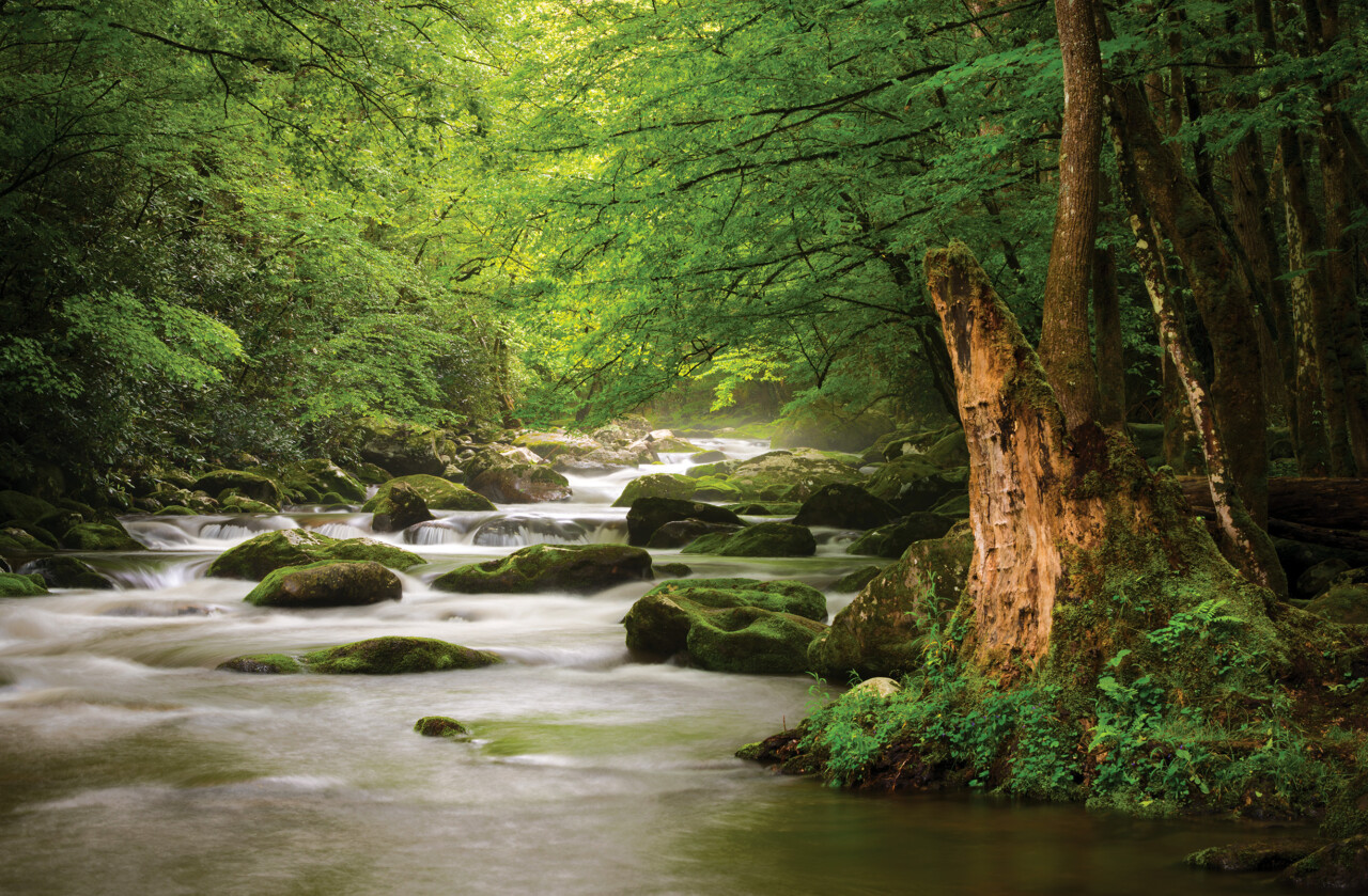 Scenic stream